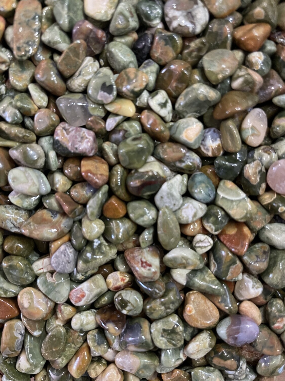 Rainforest Jasper TC