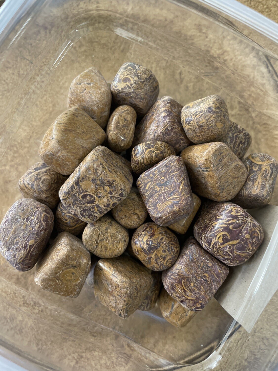 Caligraphy Jasper PT