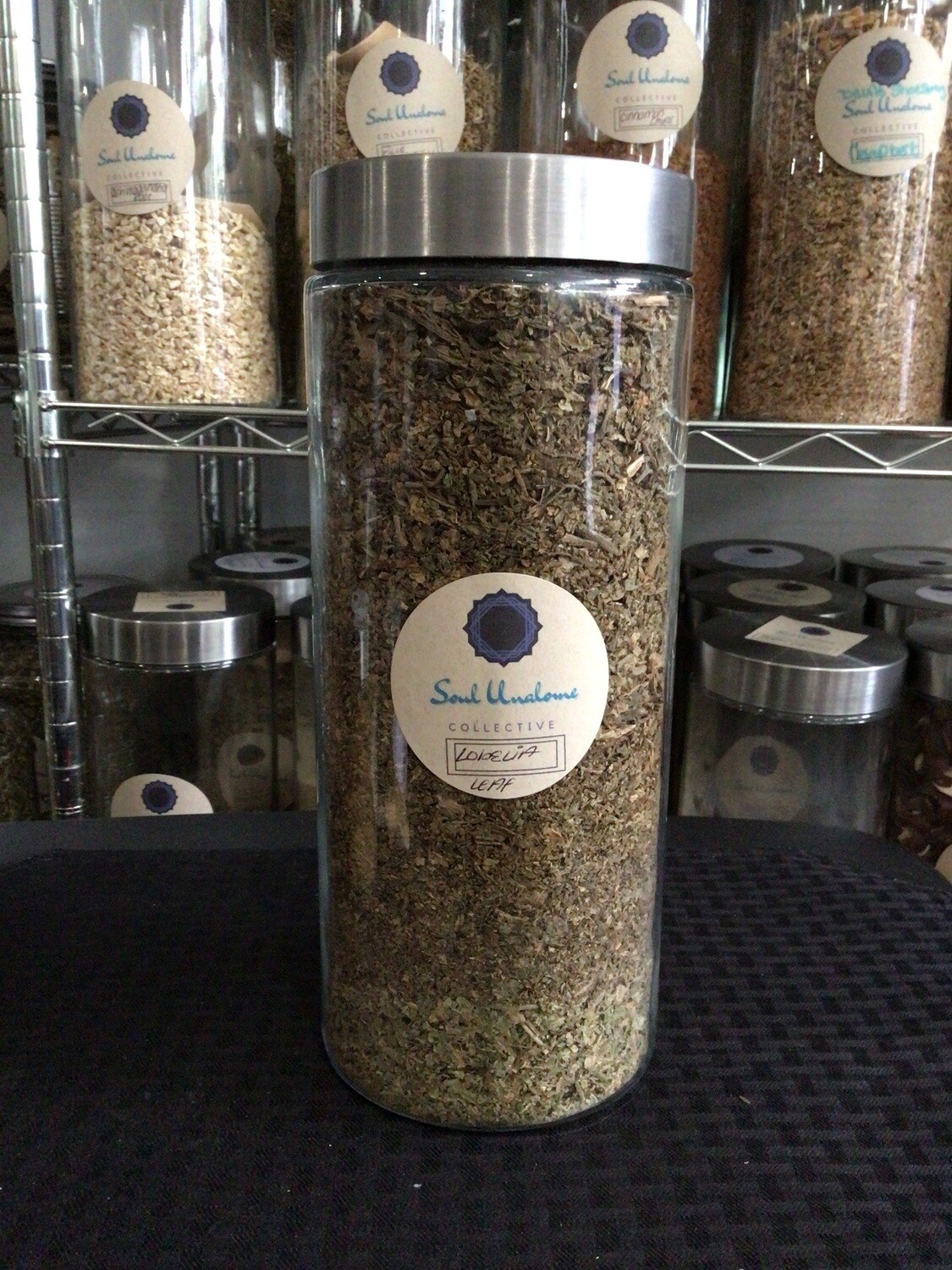 Lobeila (Indian Tobacco)