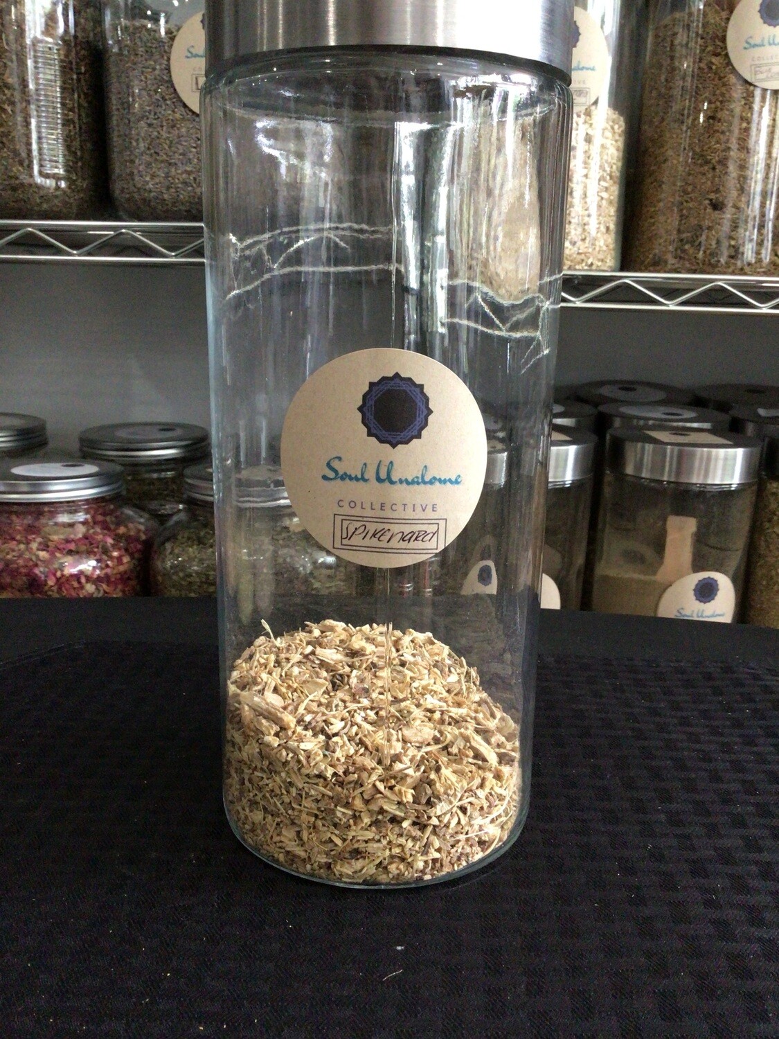 Spikenard Root