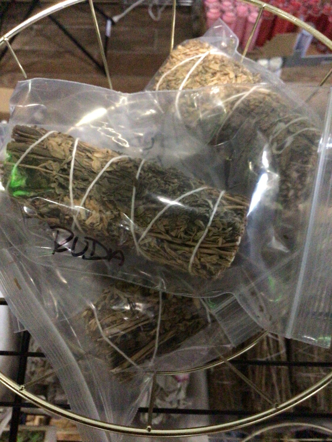 Ruda Rue Sage 4&quot;
