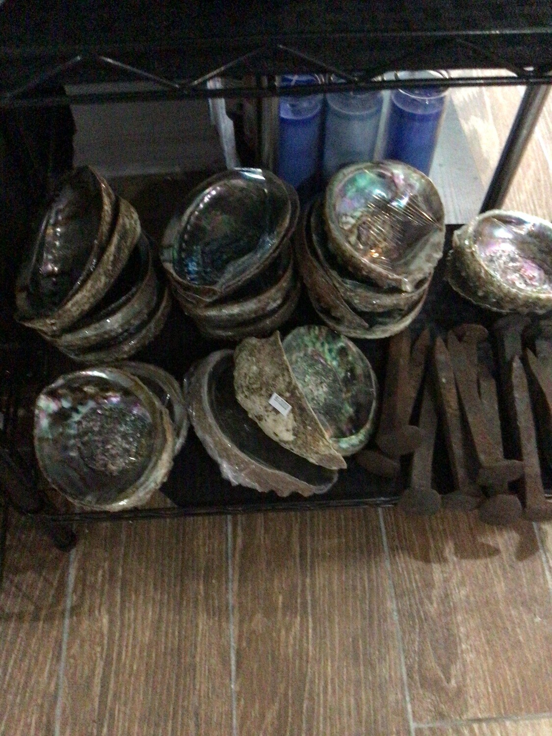 Abalone Shells (5&quot;-6&quot; Threaded))