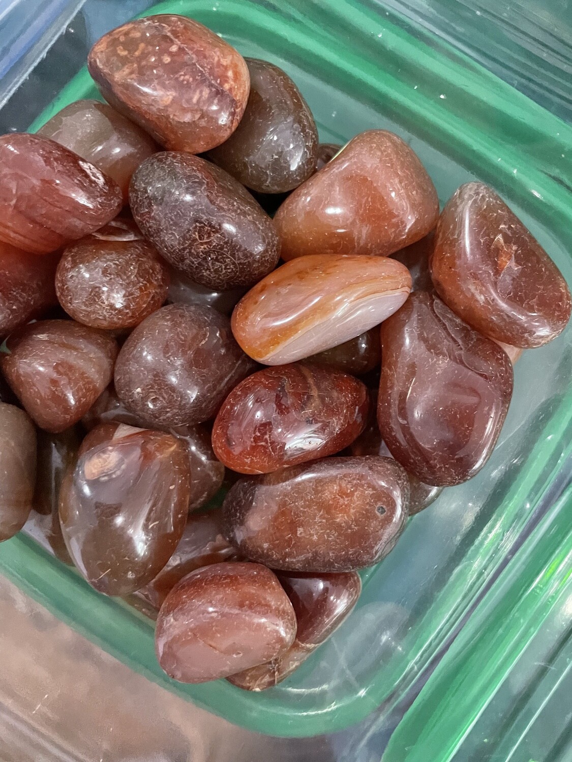Carnelian PT Lg