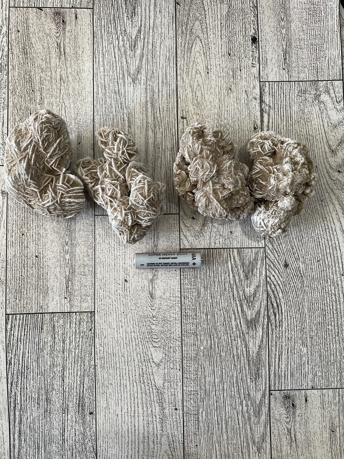 Desert Rose Large
