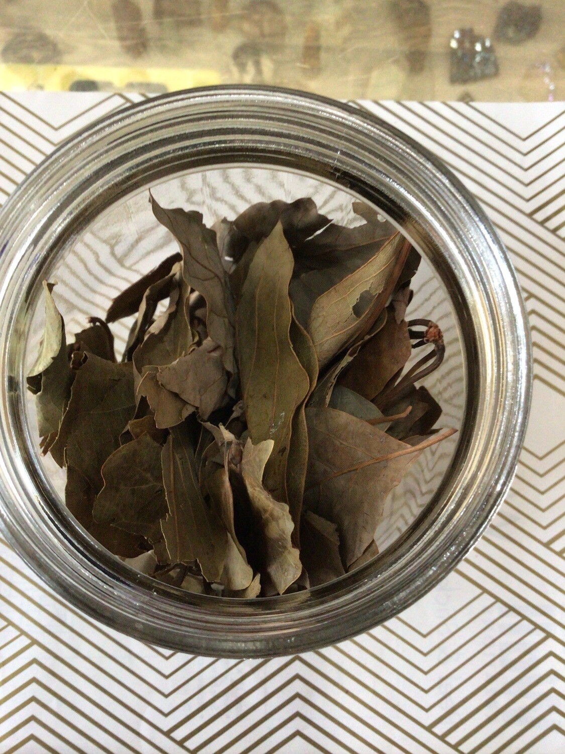 Avocado Leaves