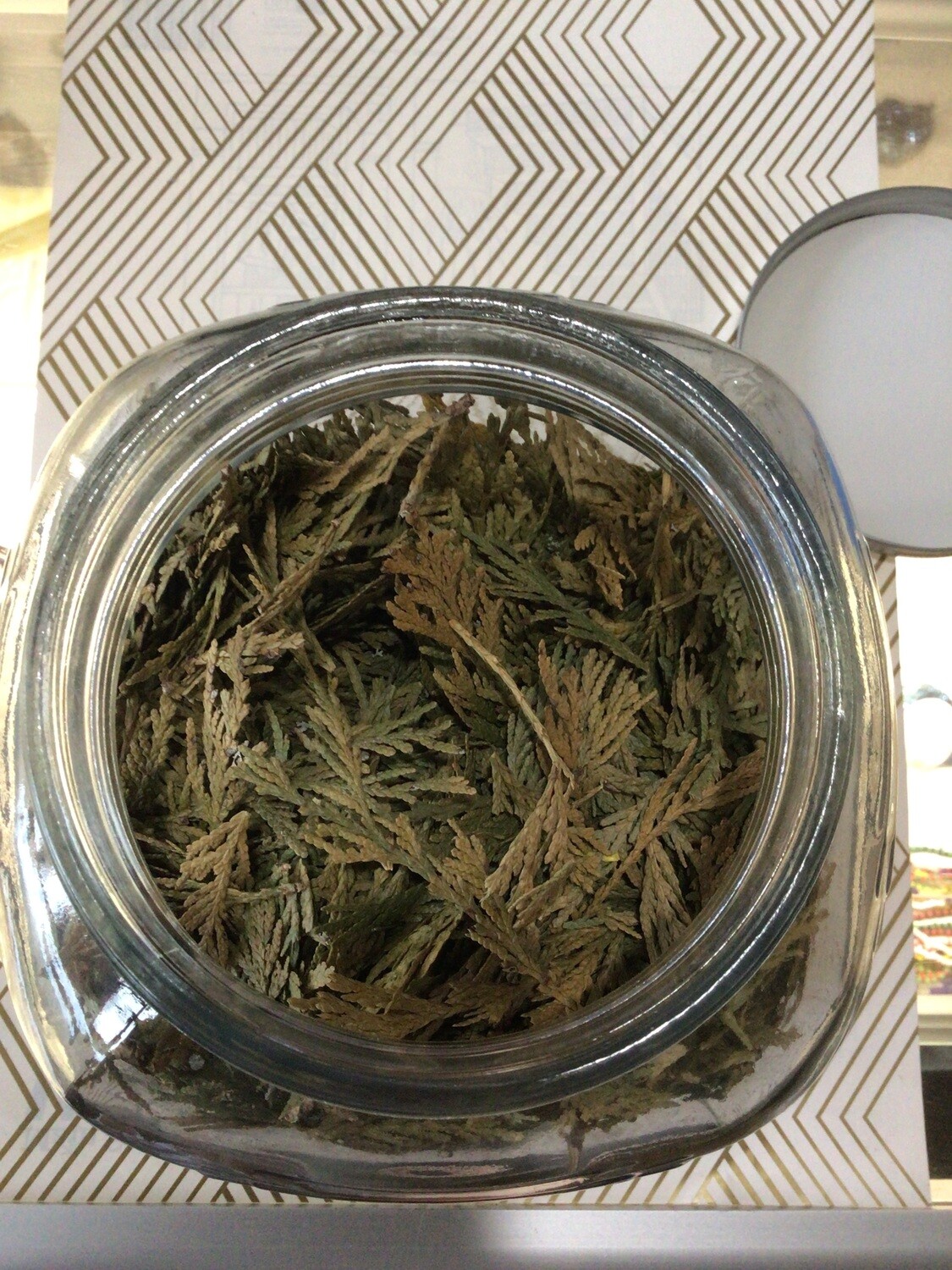 Cedar Leaf