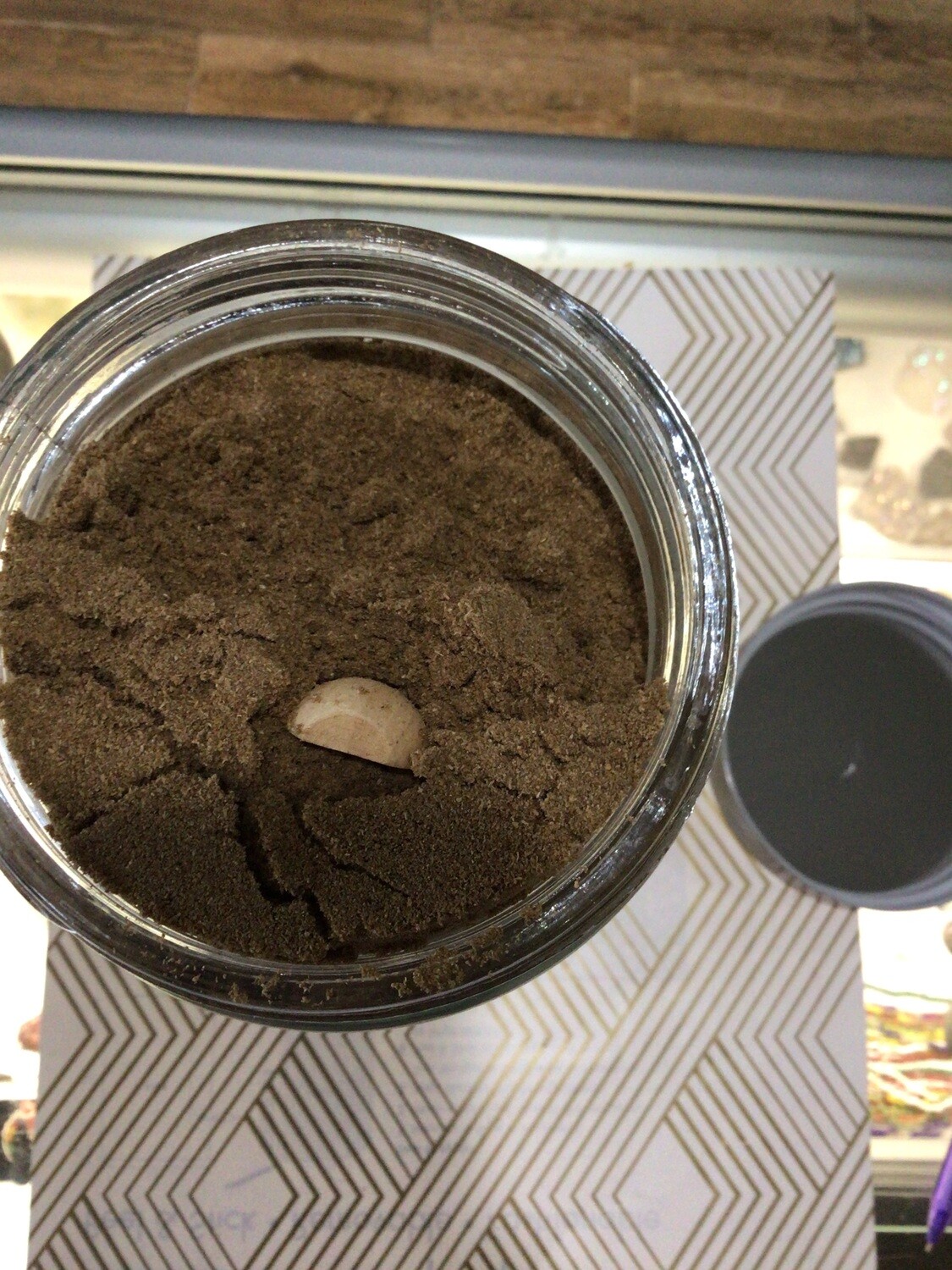 Coriander Seed 