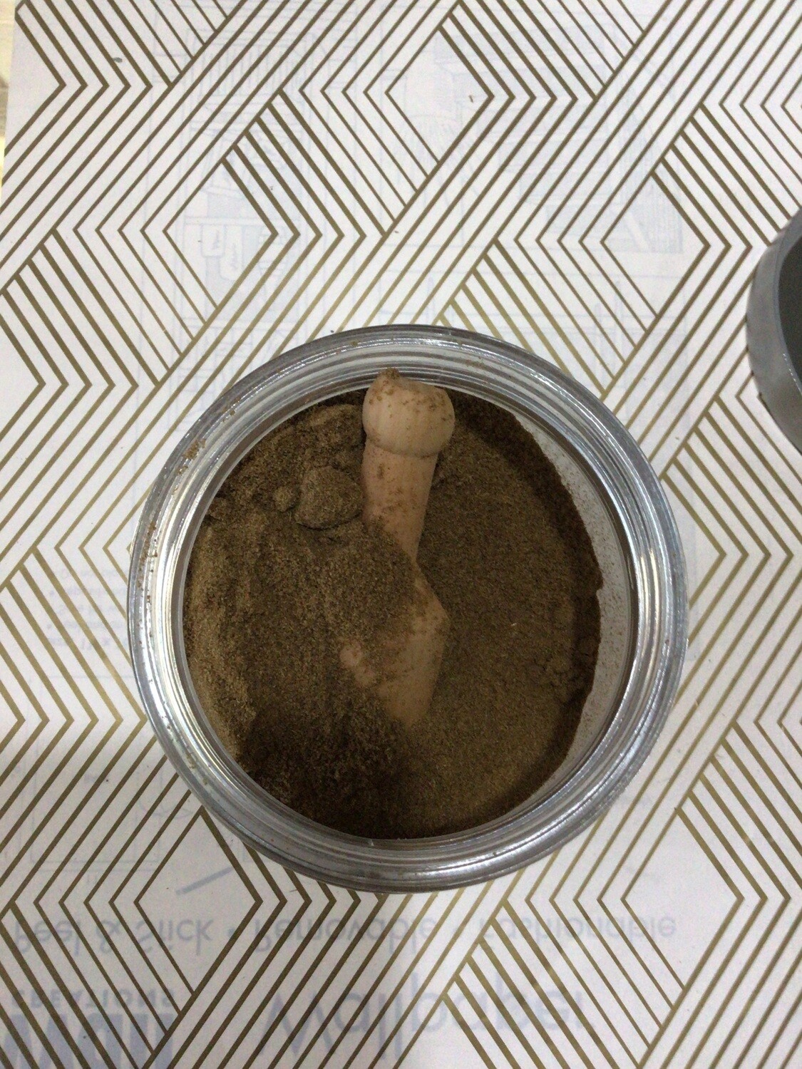 Cumin Powder