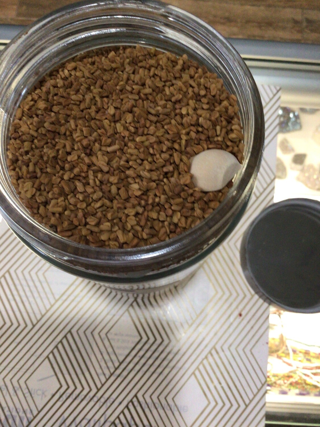 Fenugreek Seed 