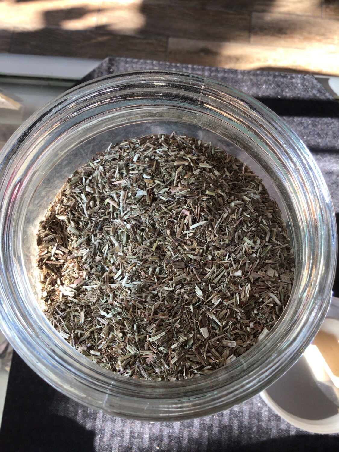 Vervain