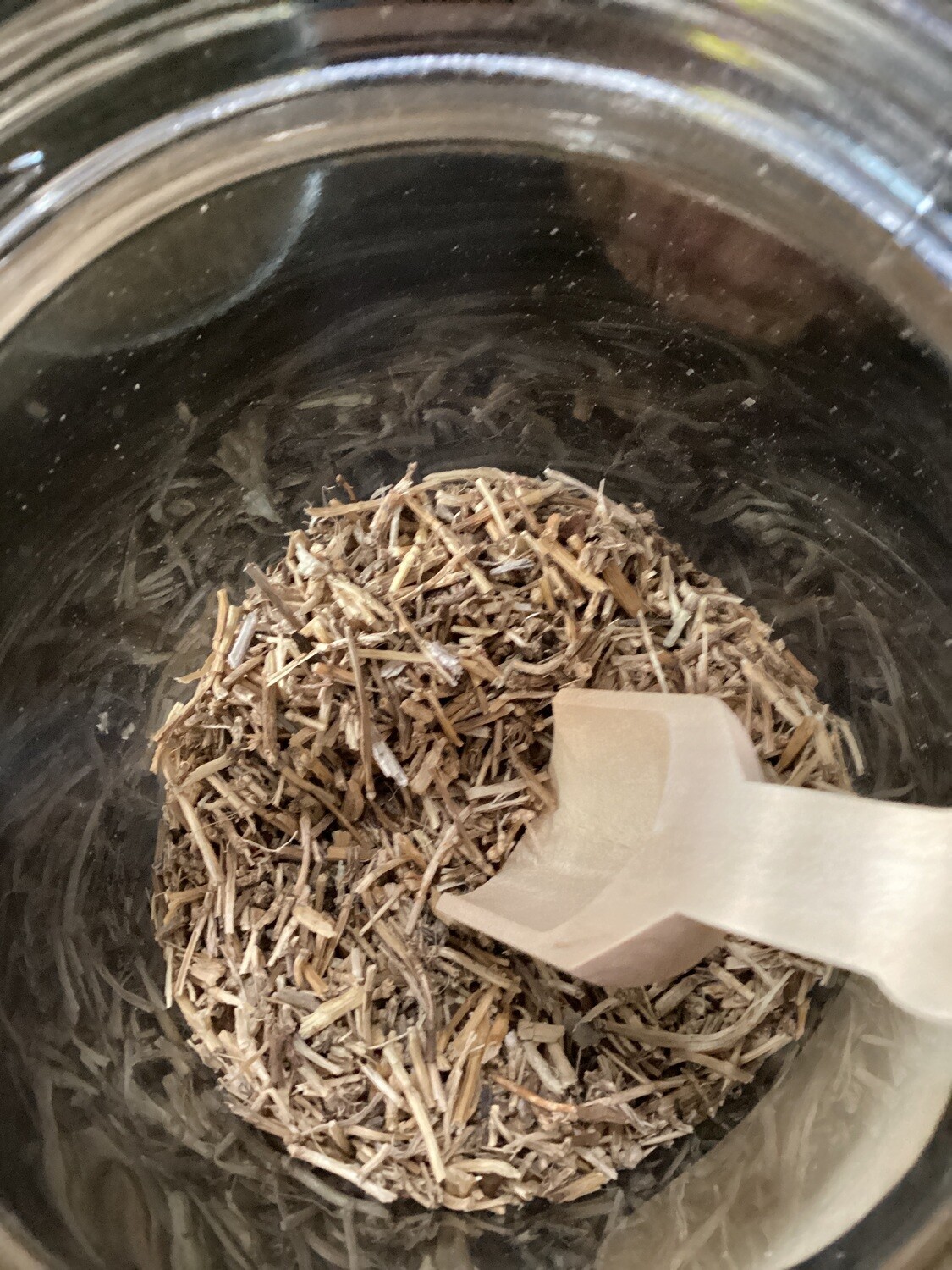 Witchgrass 
