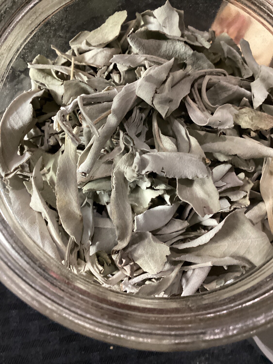 White Sage Leaf 