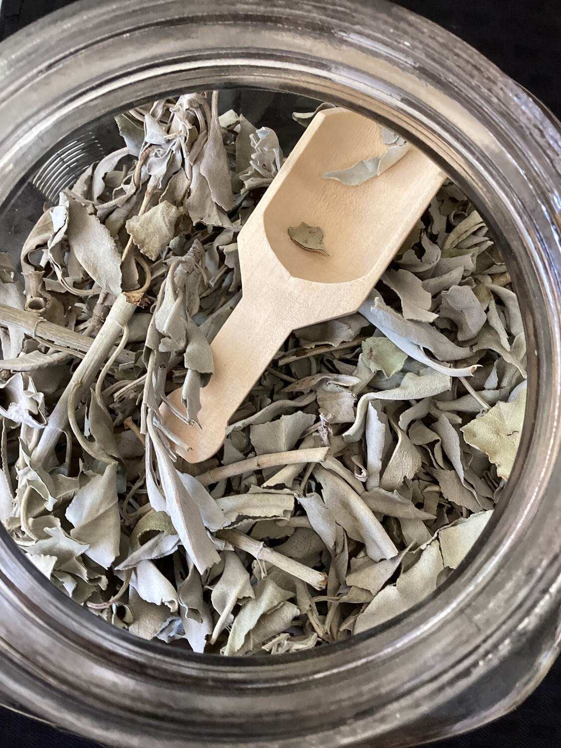 Sage Whole Leaf