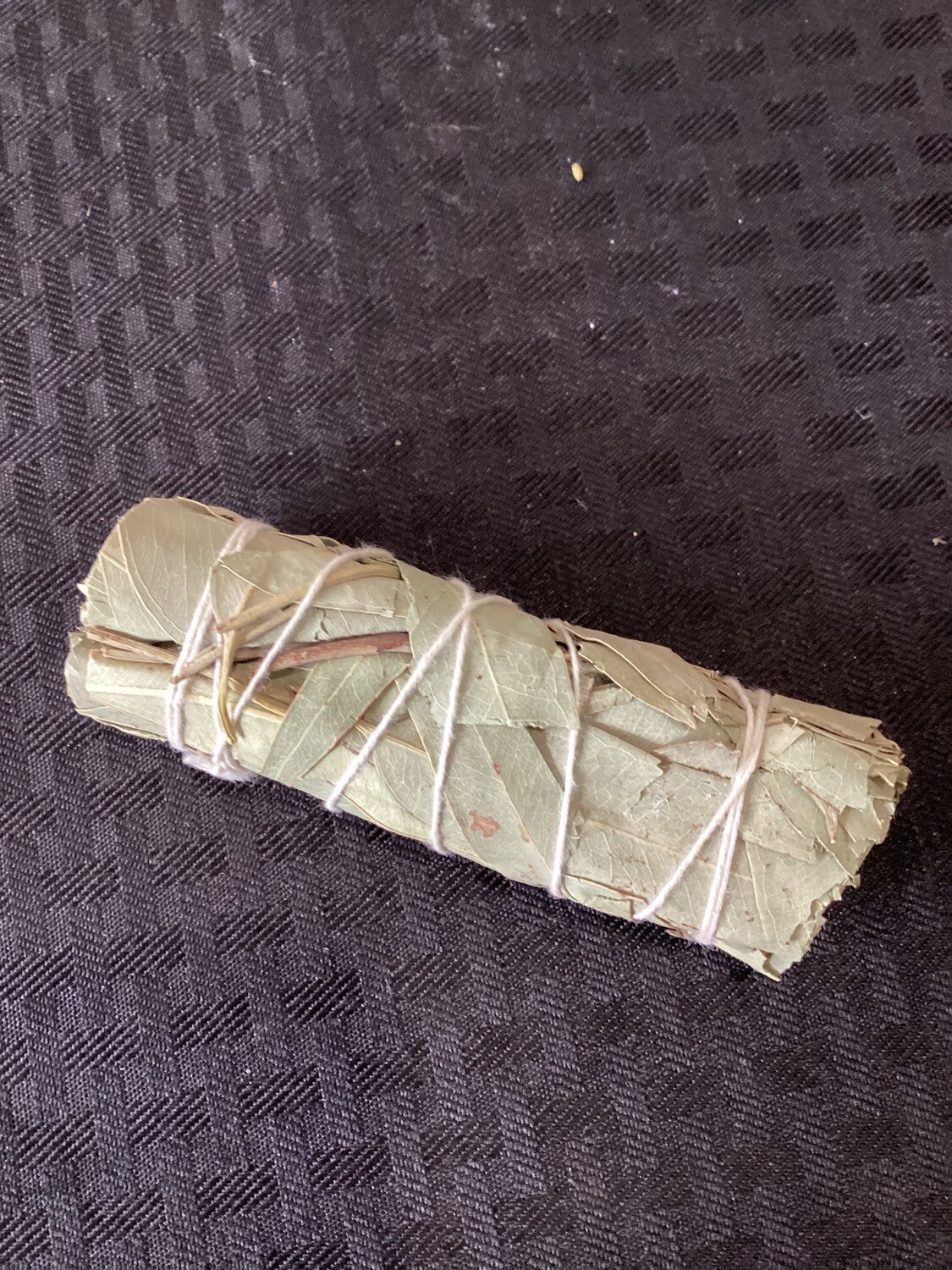 Eucalyptus Sage 4&quot;