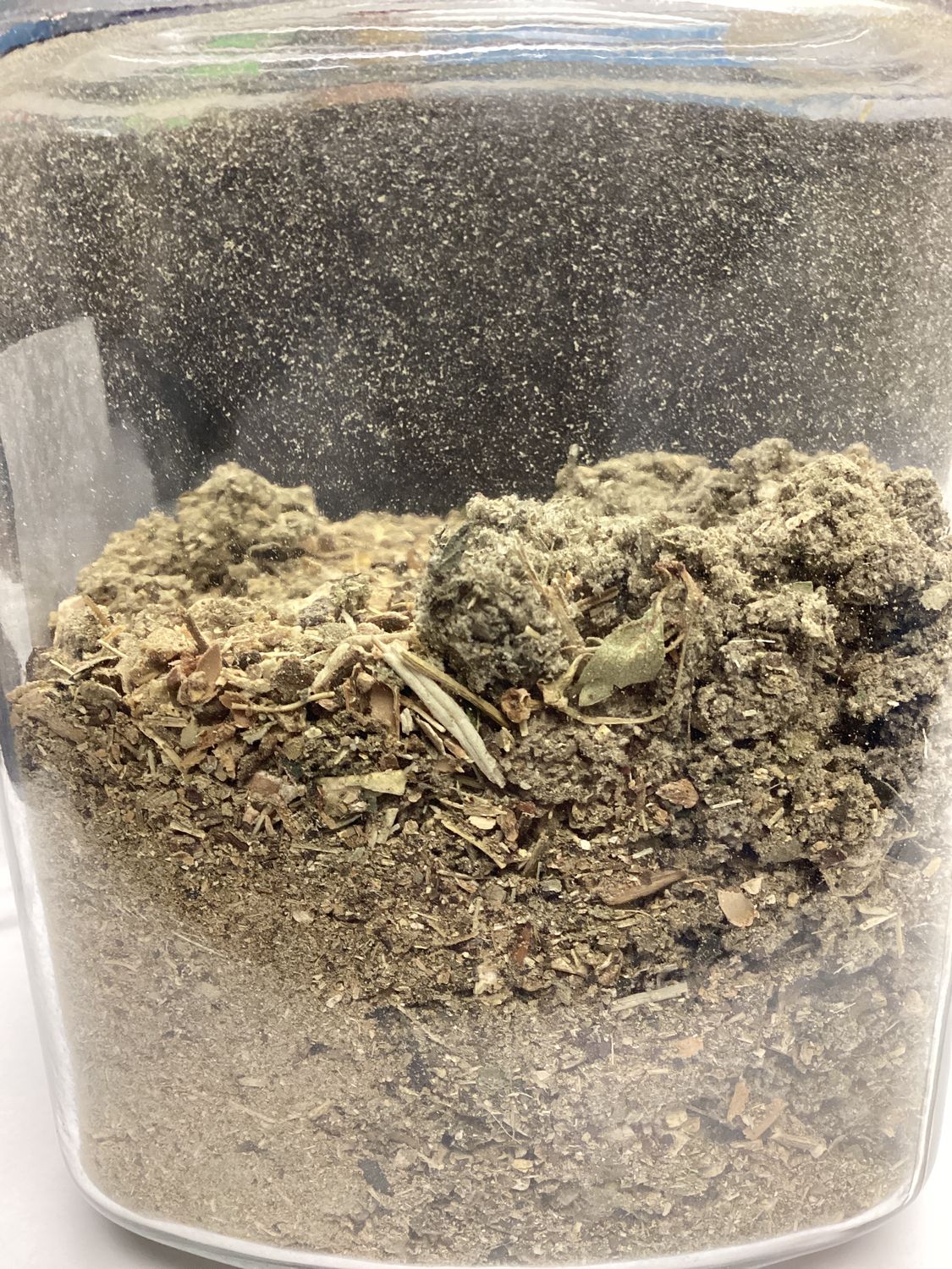 Fertile Ground Tea