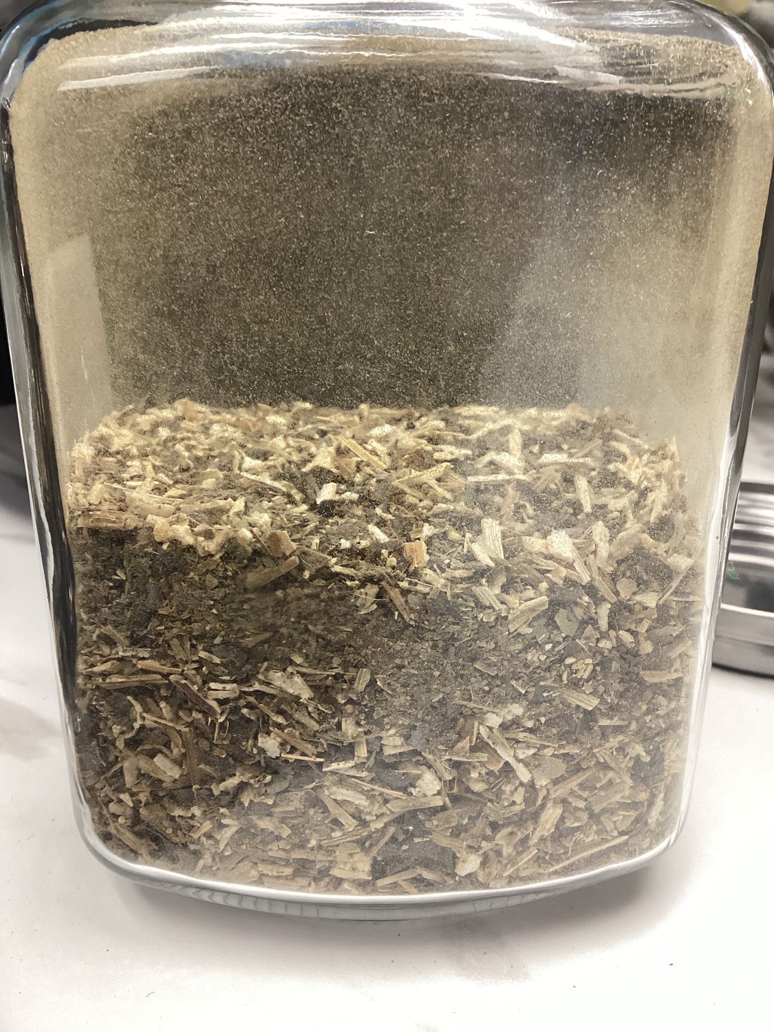 Warrior Tea - Thyroid