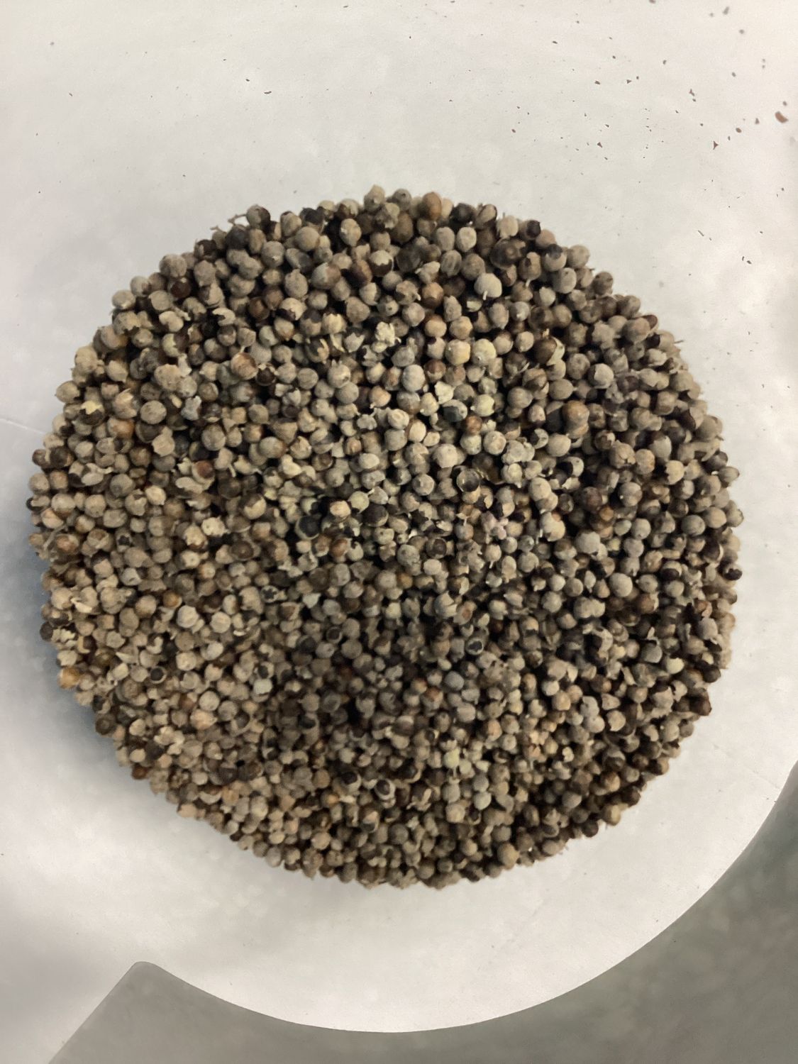 Vitex Berry