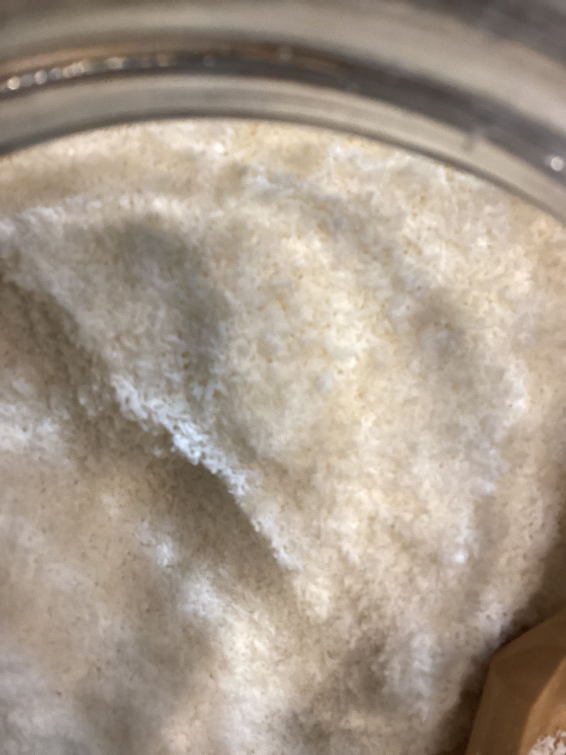 Coconut Powder