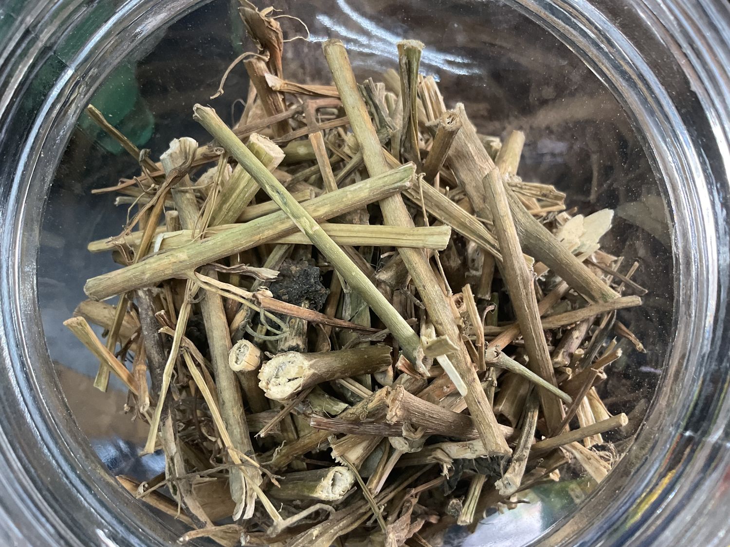 Black Nightshade Herb