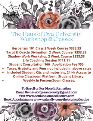 The Haus of Oya University Application Fee