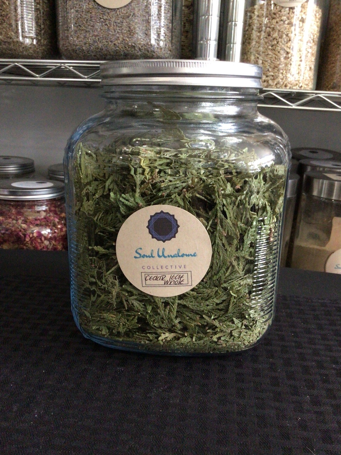Cedar Leaf