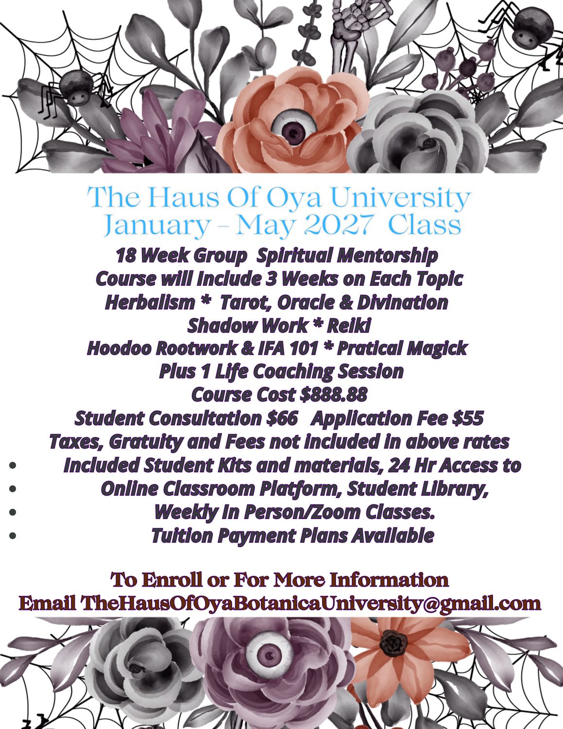 Student Consultation