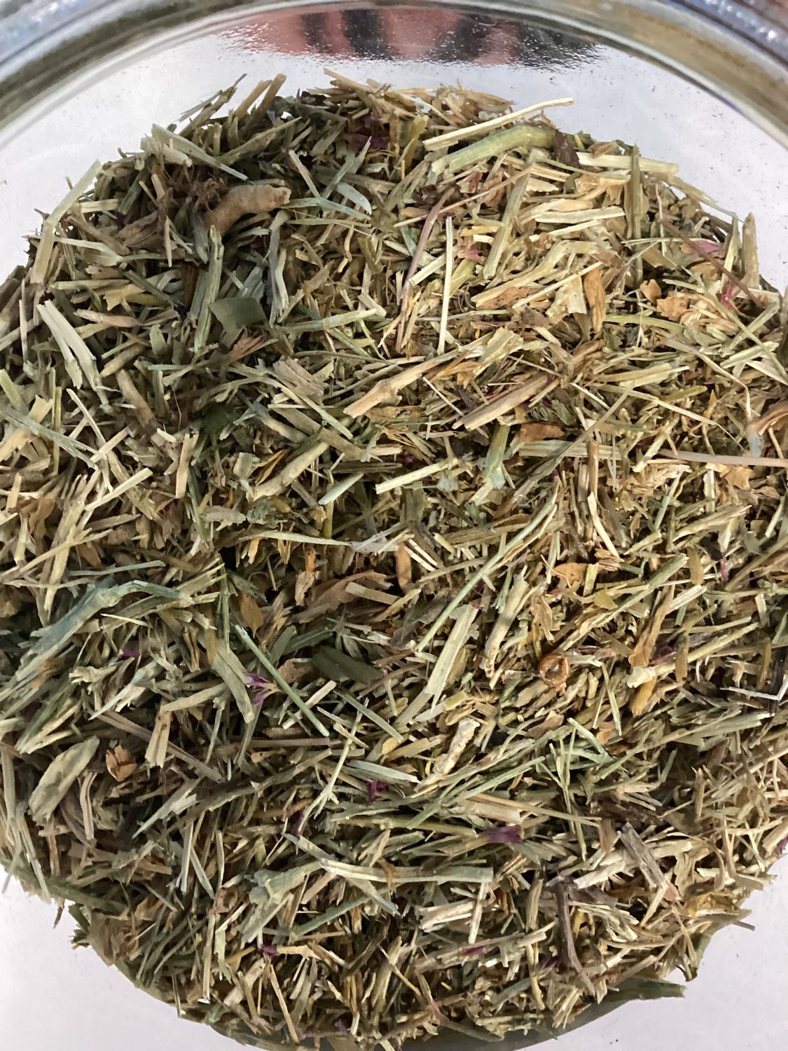 Feverwort (Centaury)