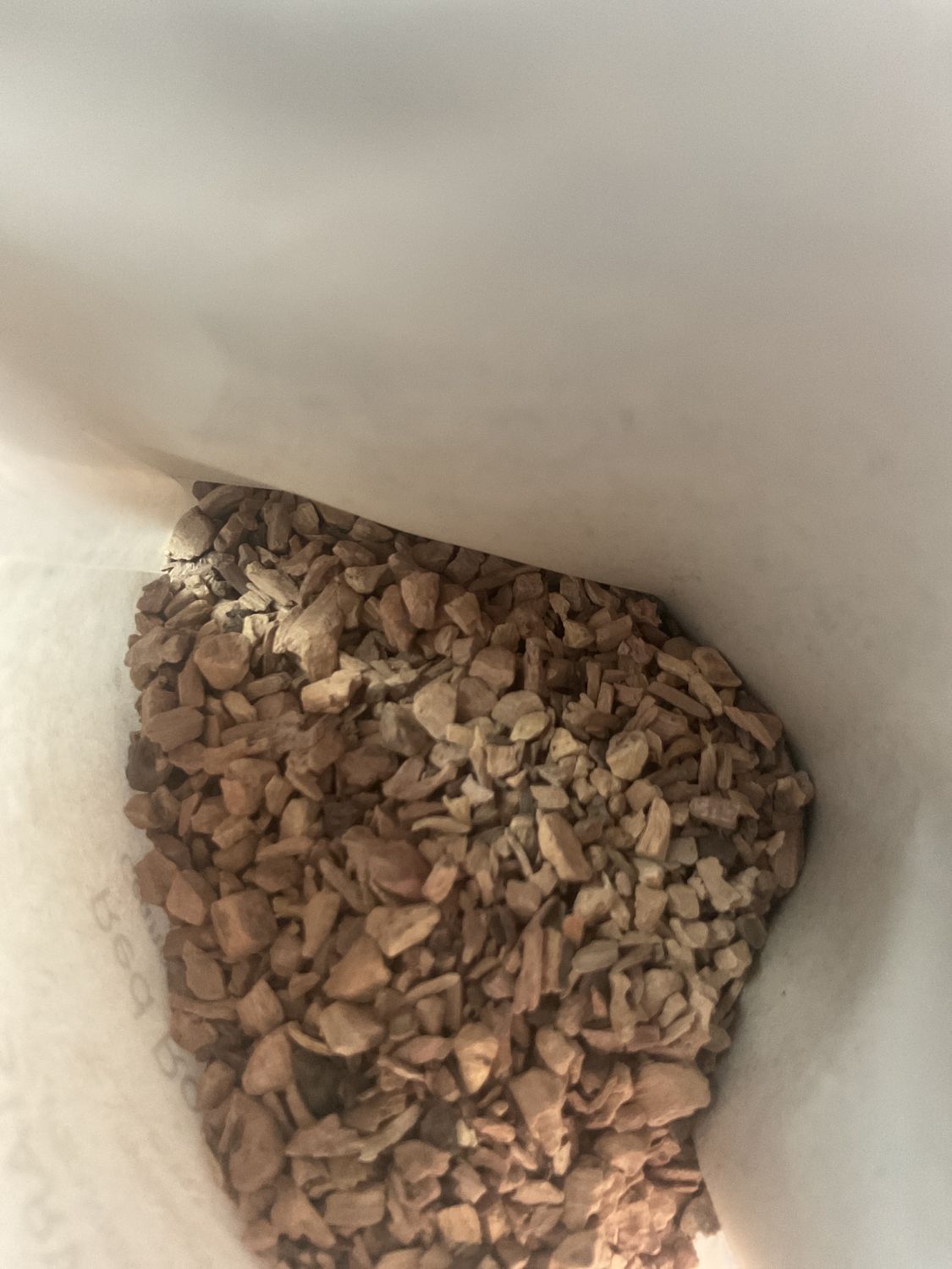 Red Root Red Root