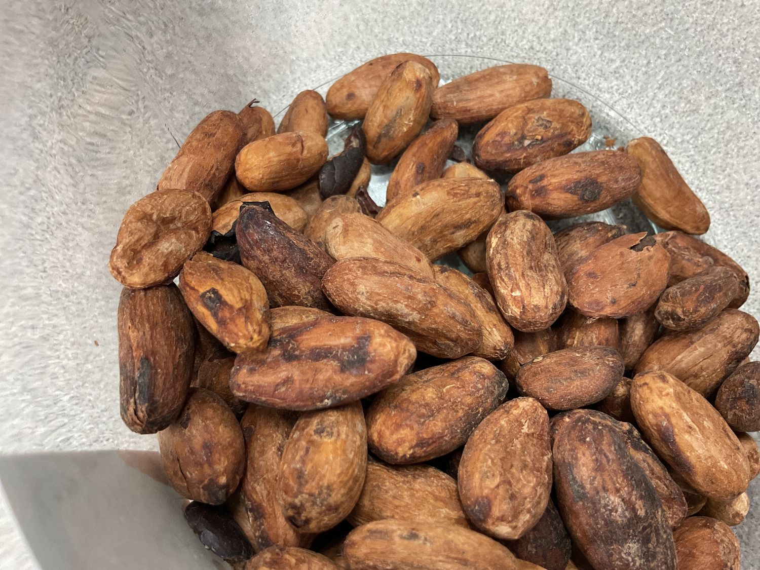 Cacao Beans Cacao Beans