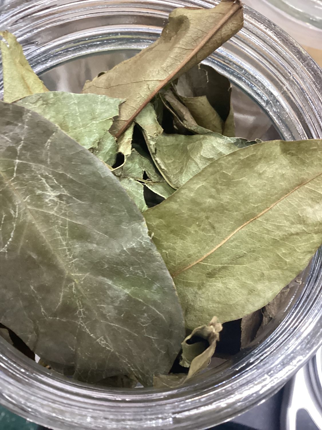 Soursop Leaf
