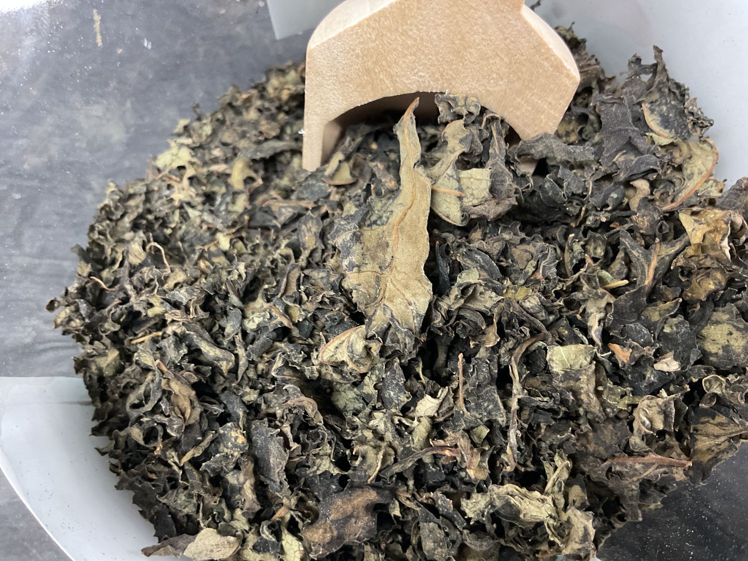 Bitter Leaves Bitter Leaves