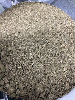 Jute Leaf Powder