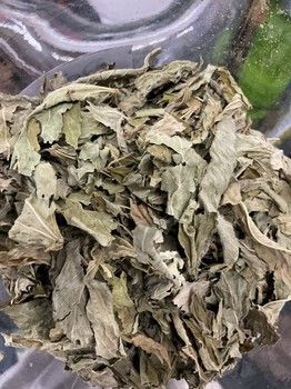 Jute Leaves