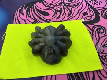 Tarantula Labradorite