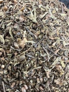 Holy Basil (Vana)