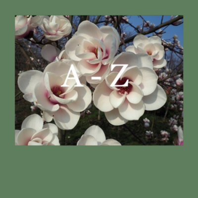 Alle Magnolien von A - Z