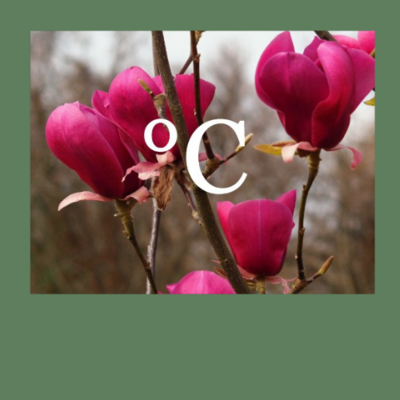 Winterhärte-Empfehlungen (Zone/°C)