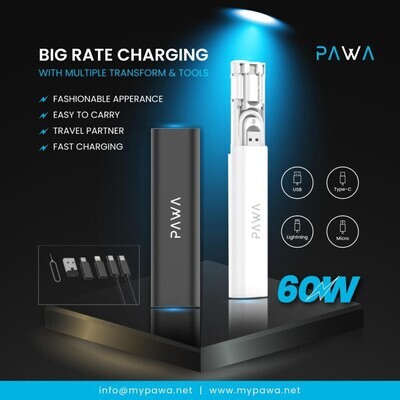 PAWA Multiple Ports Multiple Function Storage Box