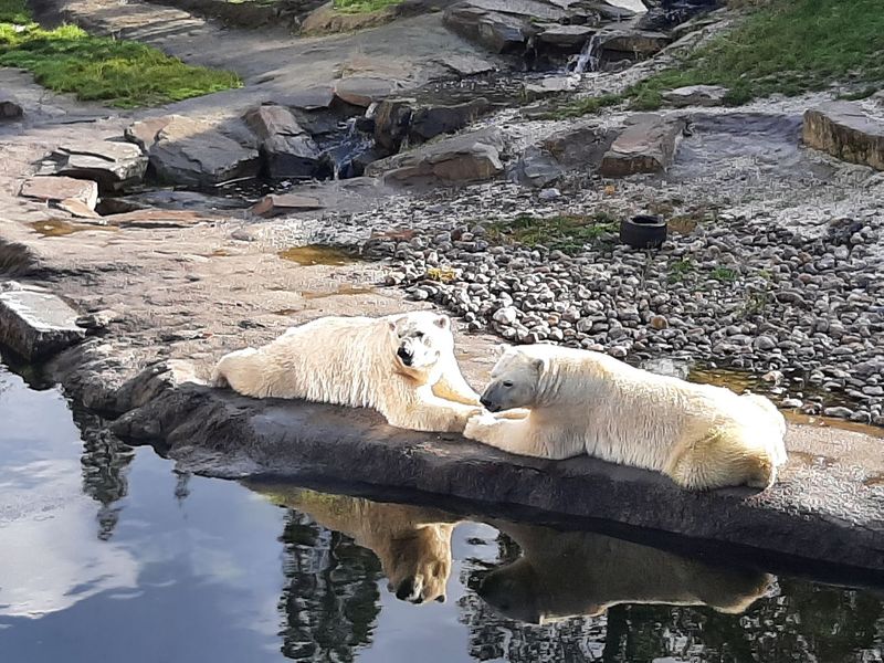 PAIRI DAIZA