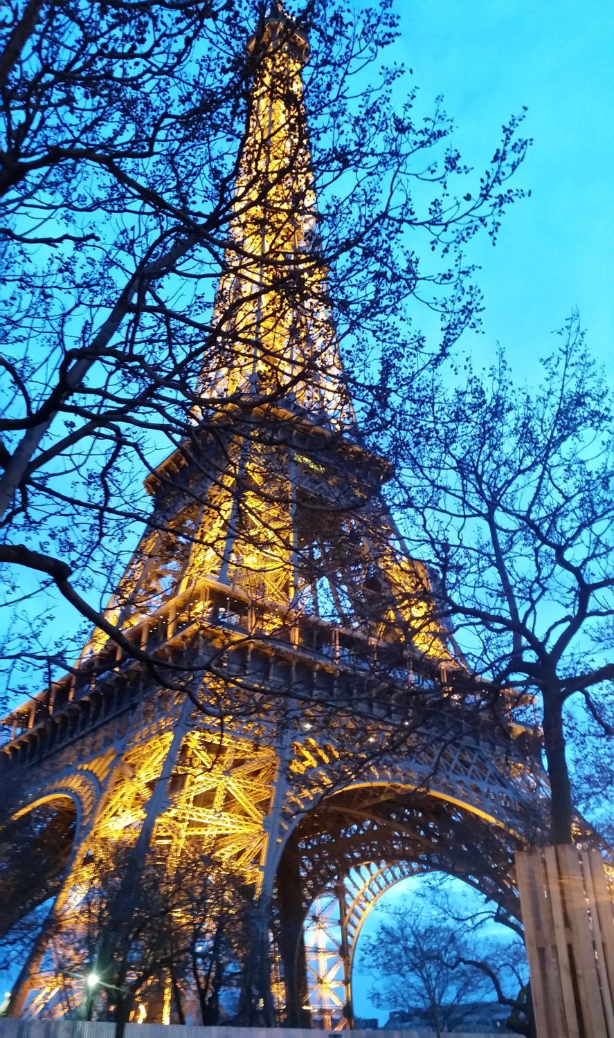 FOIRE EXPO PARIS 2025