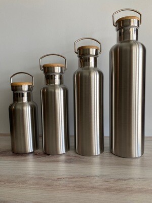Insulated Stainless Steel Bottle 