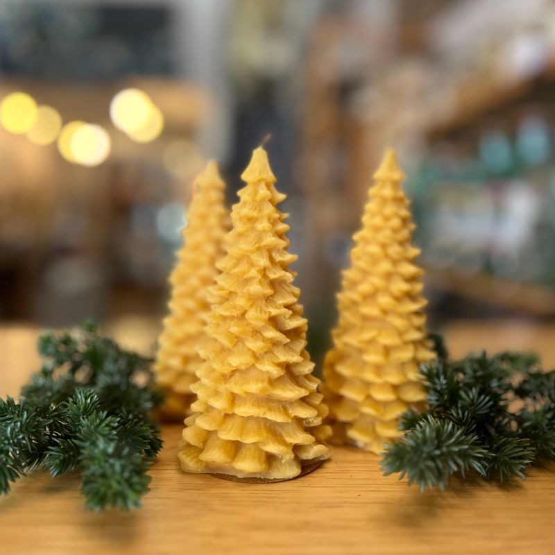 Beeswax Tree Candle - FD Market Beeswax Tree Candle - FD Market
