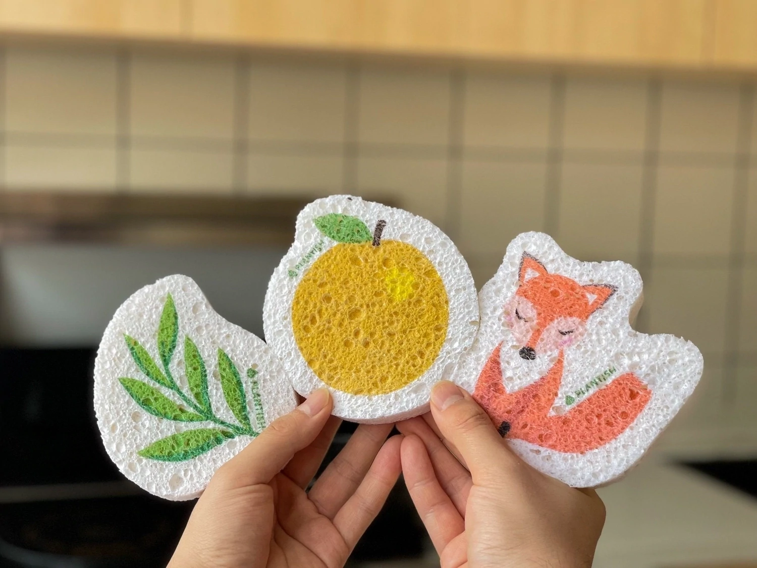 Pop Up Sponge - Plantish