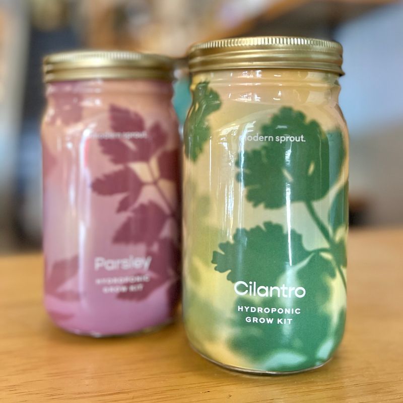 Herb Garden Jar - Modern Sprout