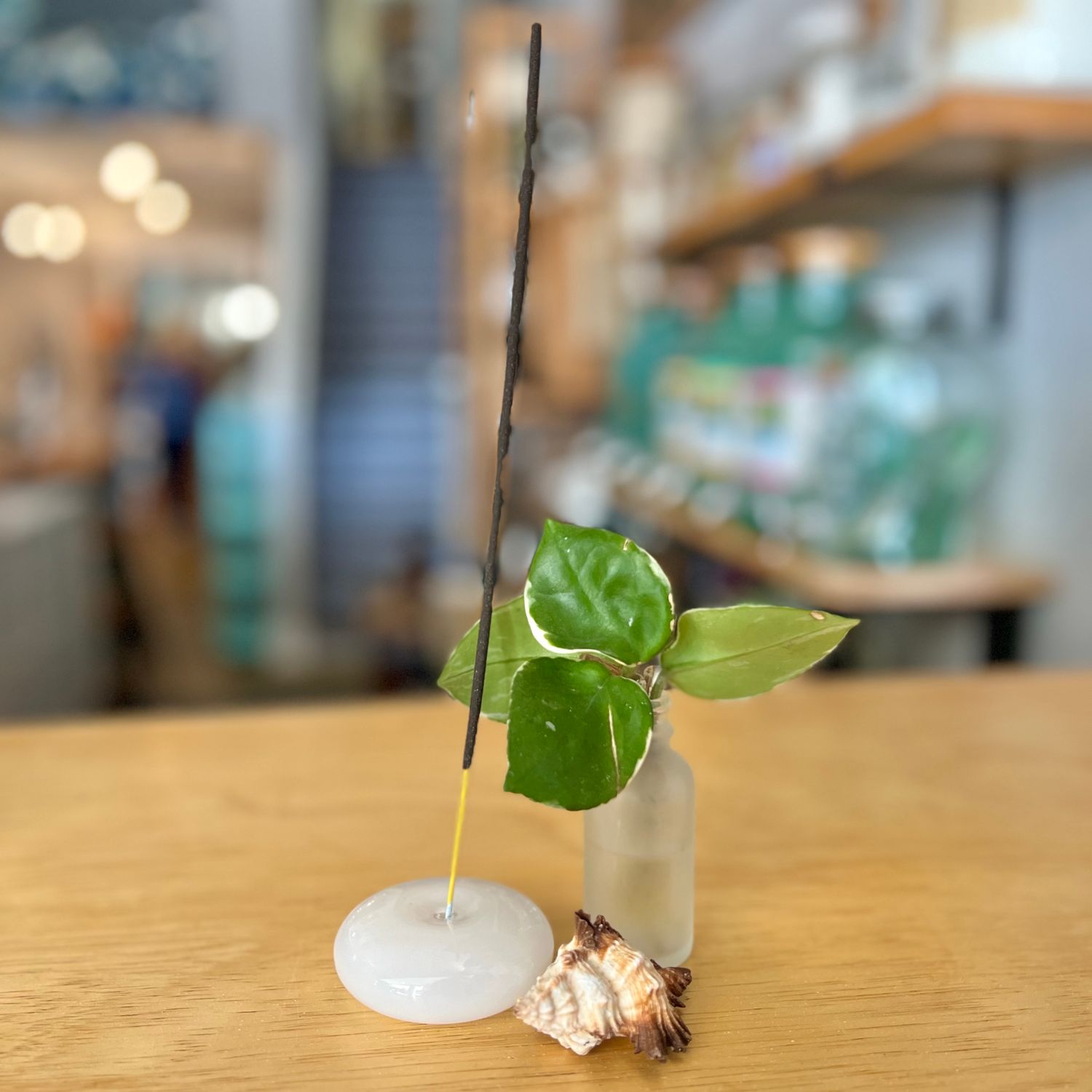 Glass Bubble Incense Holder - Botanica