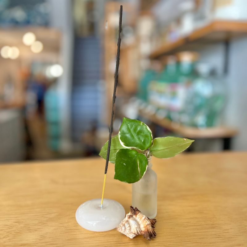 Glass Bubble Incense Holder - Botanica