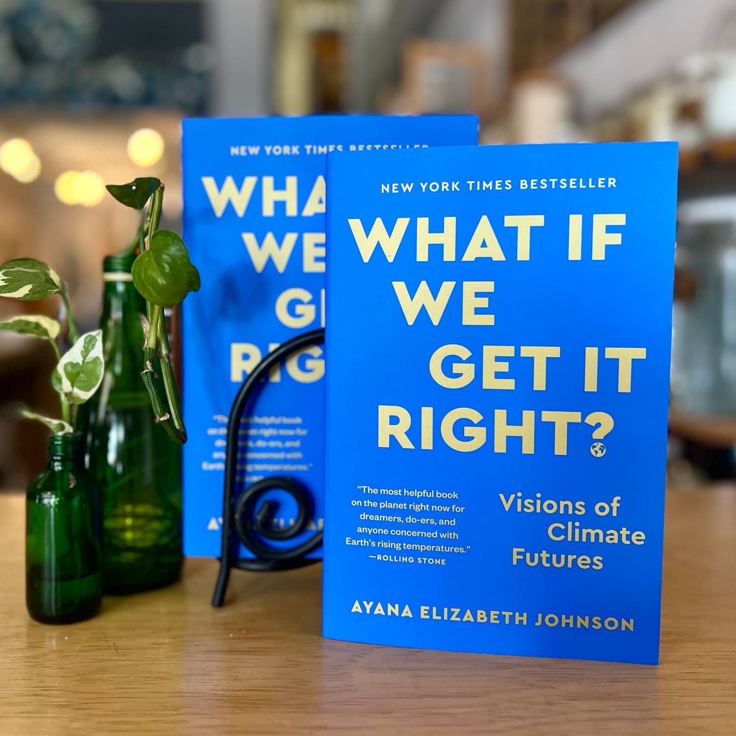 Book: What If We Get It Right? Book: What If We Get It Right?
