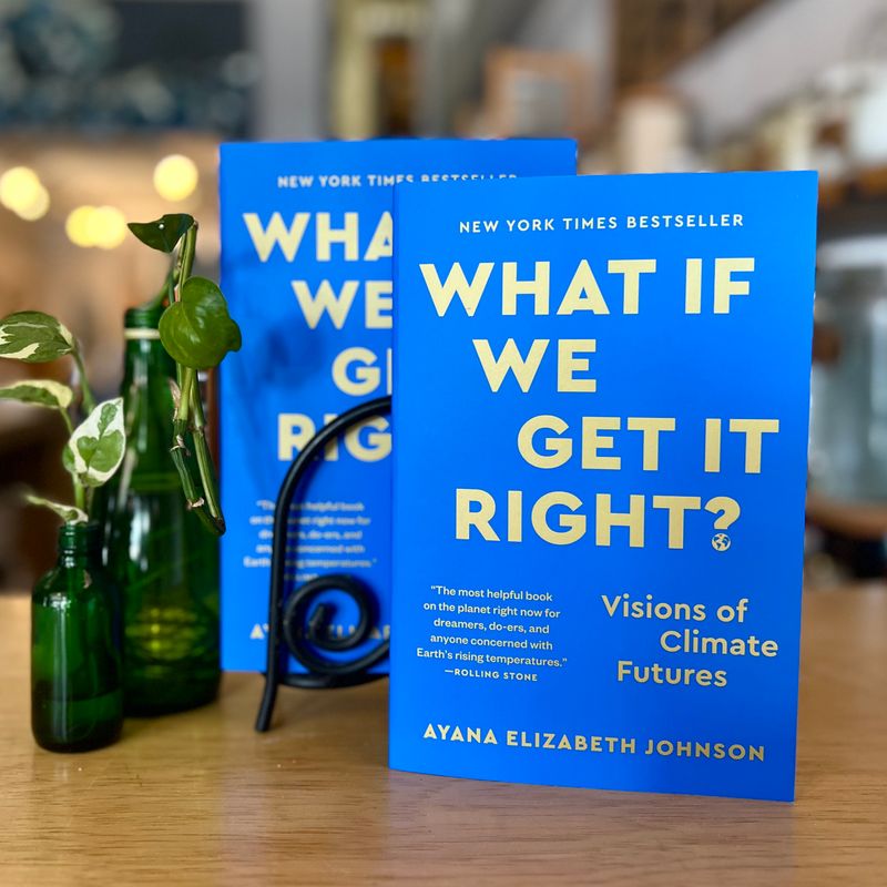 Book: What If We Get It Right? 