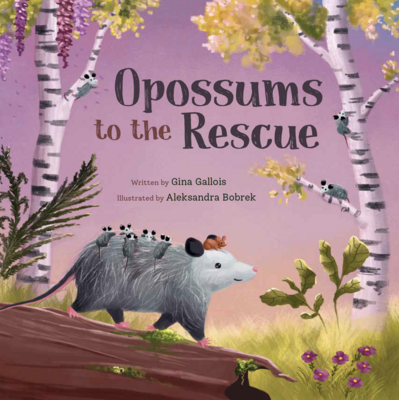 Opossums to the Rescue - Free US Shipping