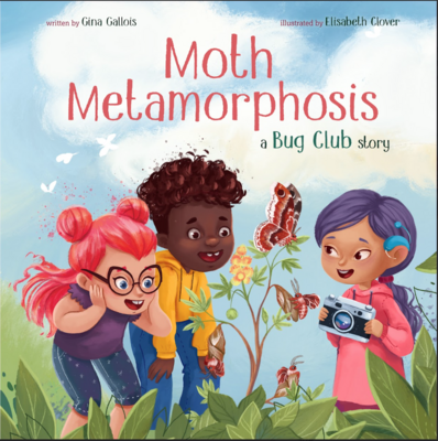 Moth Metamorphosis: A Bug Club Story - Hardcover